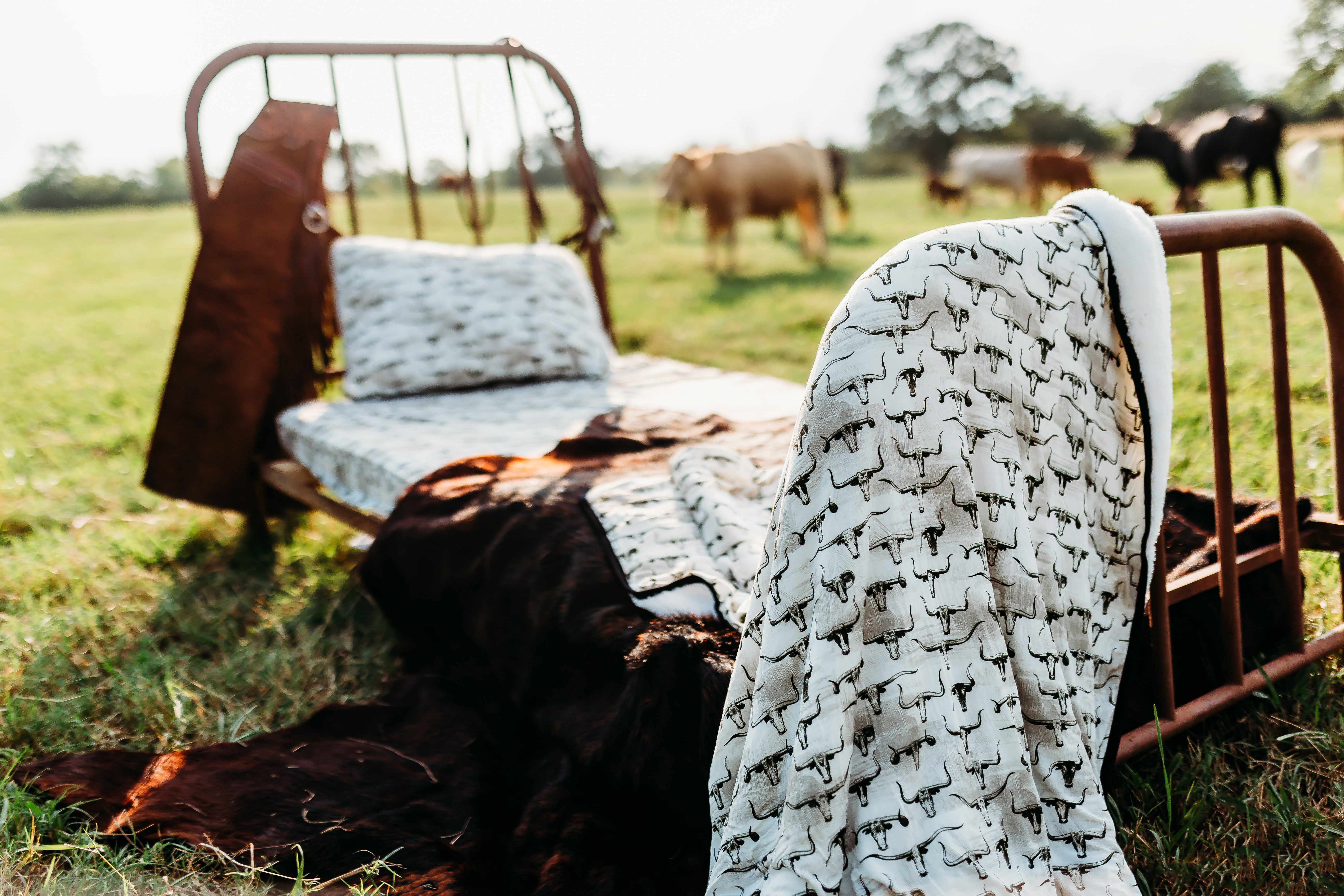 Longhorn Family Album Plush Yearling Blanket