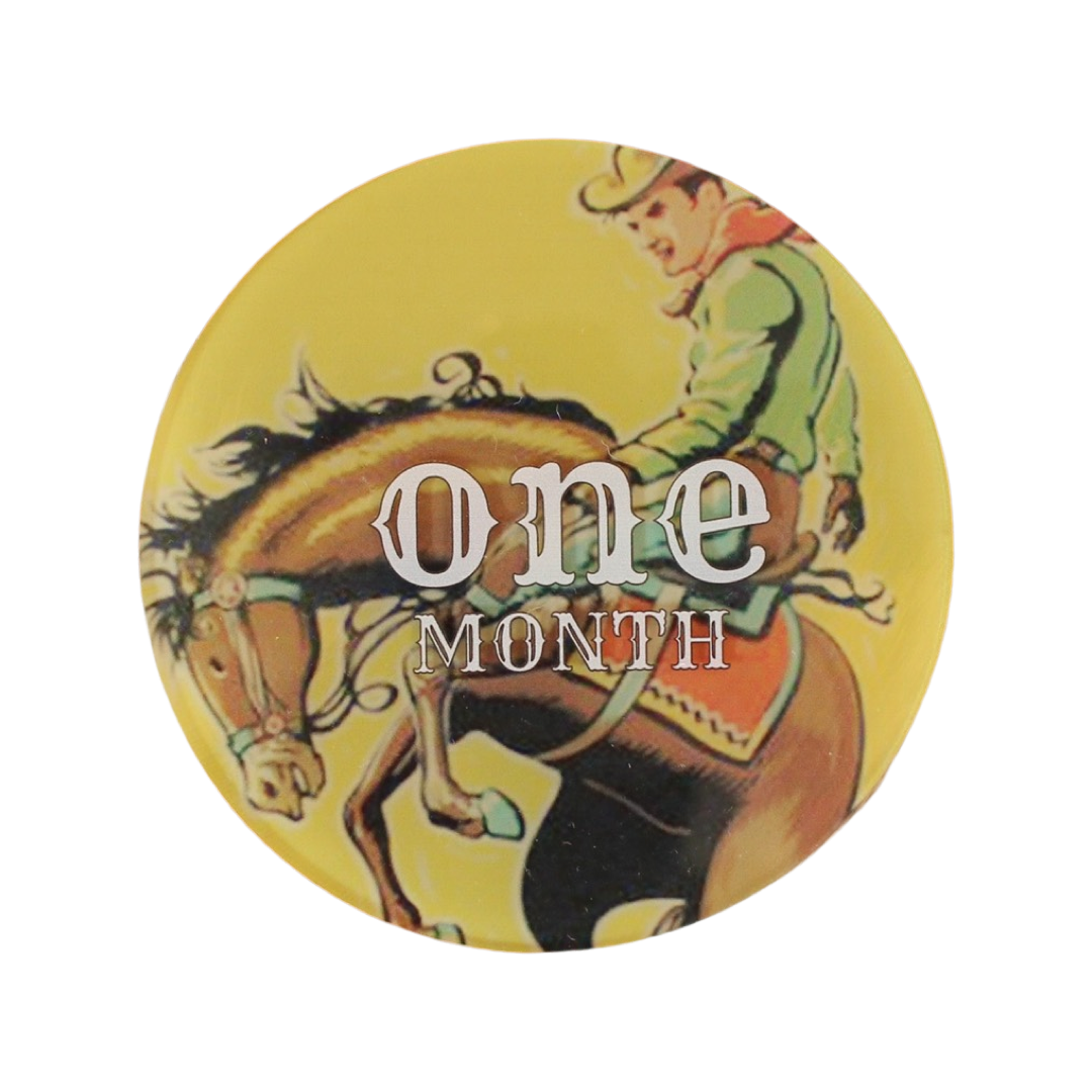 Western Acrylic Monthly Milestone Cards