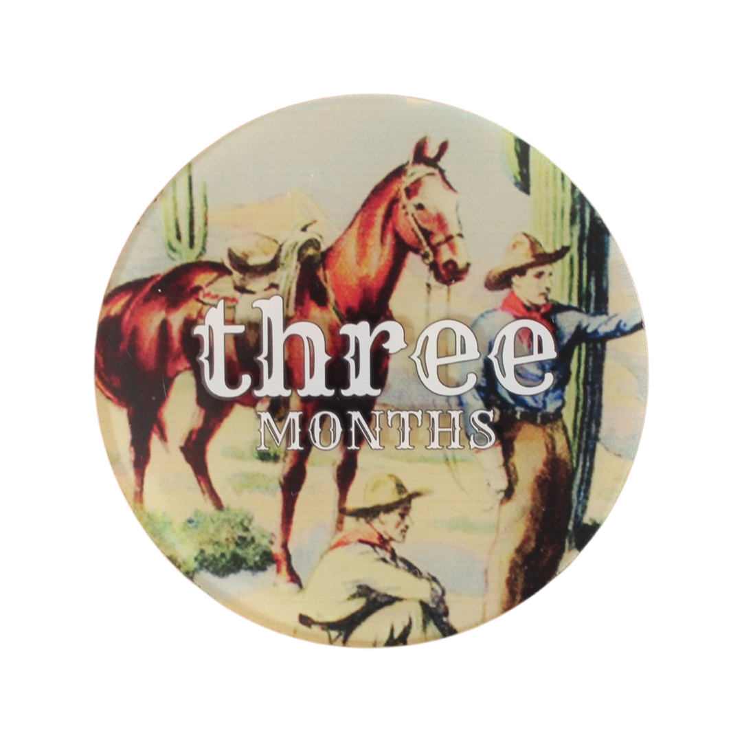 Western Acrylic Monthly Milestone Cards