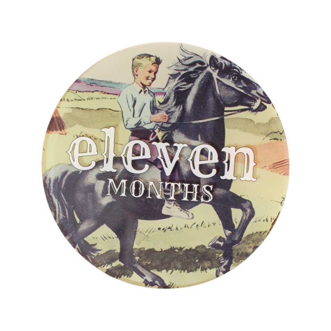 Western Acrylic Monthly Milestone Cards