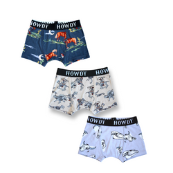 Saratoga, Goliad & Jefferson Boxer Brief Set